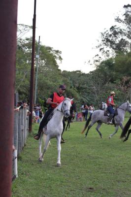 concurso_marcha_187.jpg