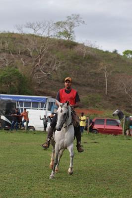 concurso_marcha_200.jpg