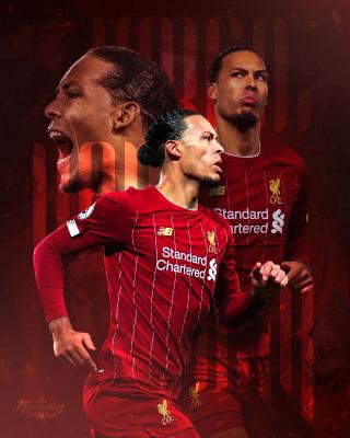 van-dijk---estudo.png